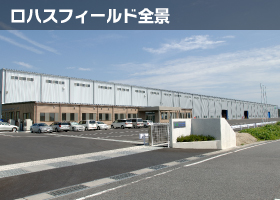 ロハスフィールド全景